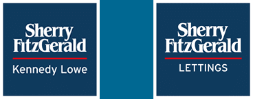 Testimonial from Fergus Lowe Managing Director